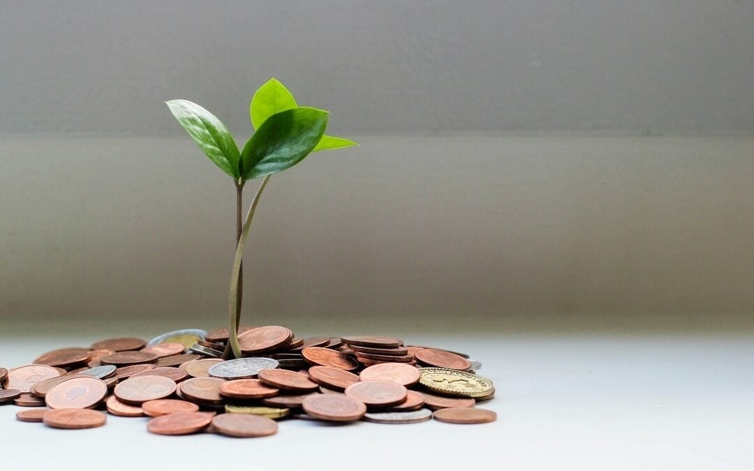 Self Storage Consulting Services: The Secret to Growing Your Business