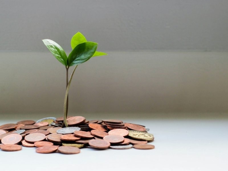 Self Storage Consulting Services: The Secret to Growing Your Business