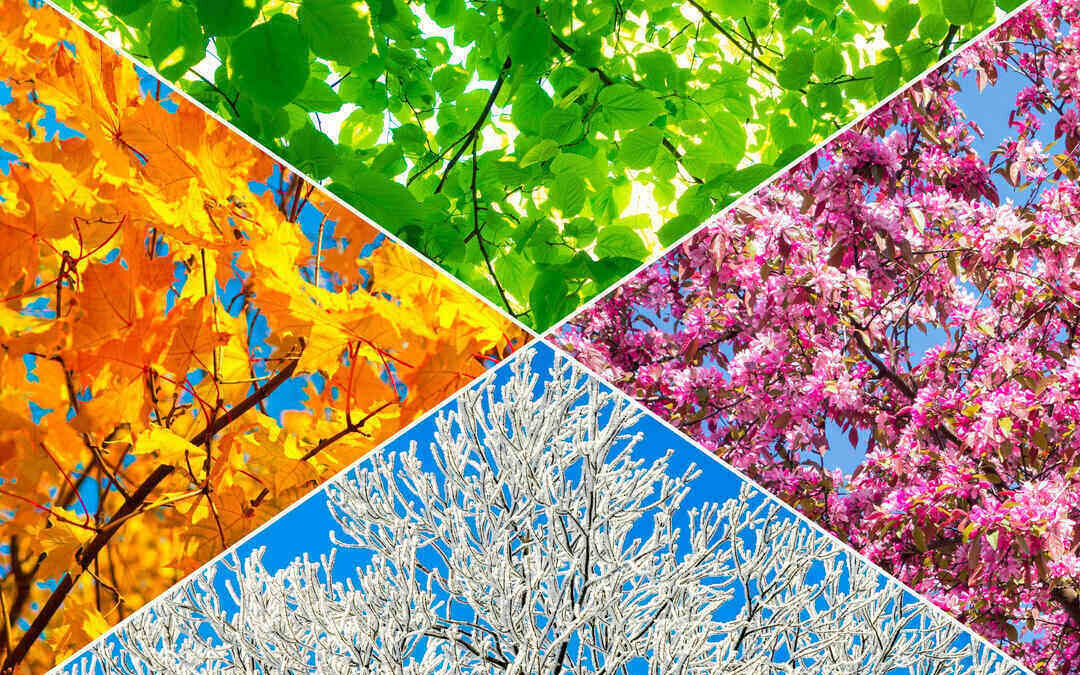 Self Storage: Effective Strategies for Remaining Competitive in the Slower Season