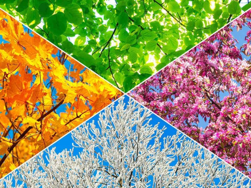 Self Storage: Effective Strategies for Remaining Competitive in the Slower Season
