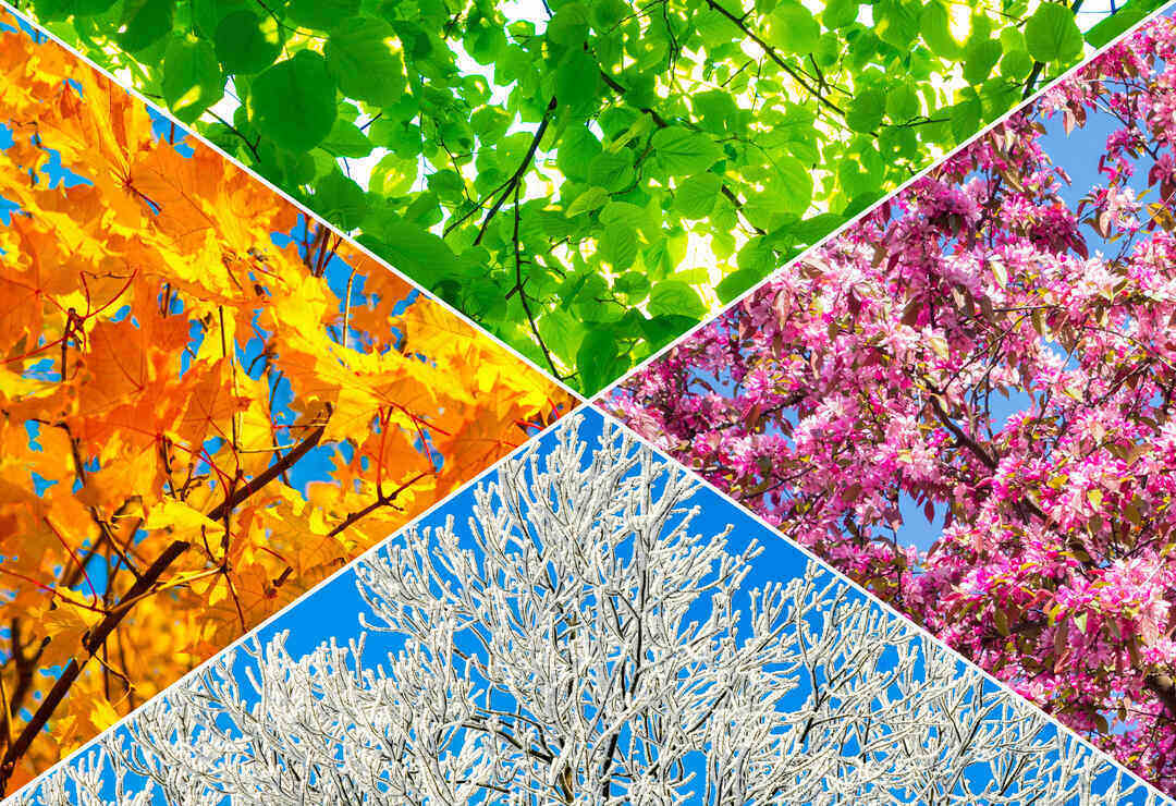 Self Storage: Effective Strategies for Remaining Competitive in the Slower Season
